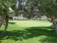 Canyamel Golf Putting Green Bäume grüne Rasen Fläche kleine Fähnchen