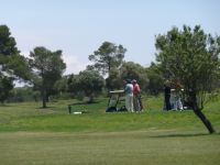 Maioris Golf Spielbahn Grüne Fläche Wiese und Sträucher