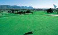 Golfplatz gr&uuml;ne Fl&auml;che mit B&auml;umen