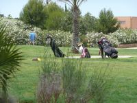 Golfbags in gr&uuml;ner Wiese mit B&uuml;schen