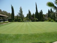Son Vida Putting Green grüne Rasenfläche mit Blumen und Bäumen