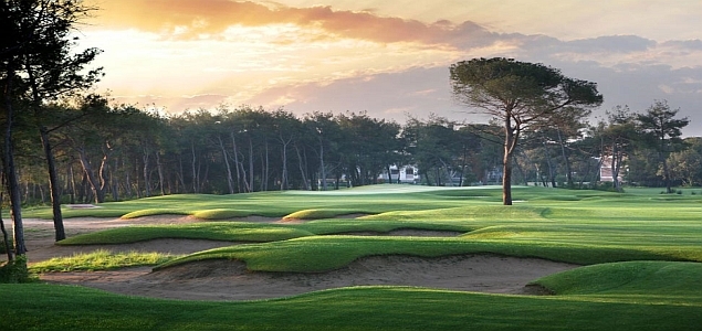 Belek Trkei - Montgomerie Maxx Royal Golf Club Green