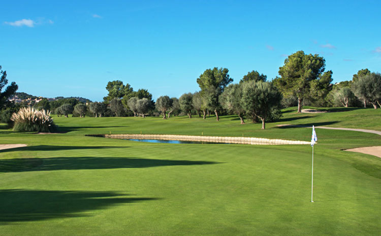 Golfplatz Golf Santa Ponsa I