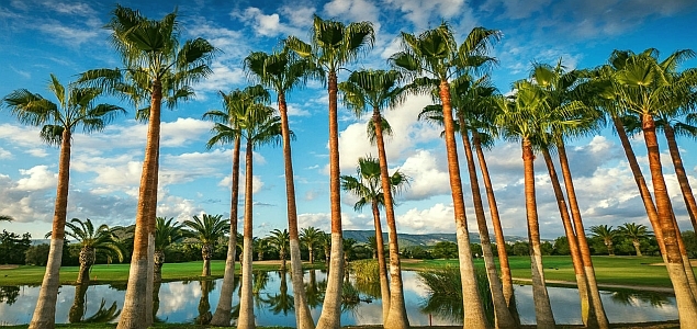 Golfplatz T Golf & Country Club Poniente Panorama